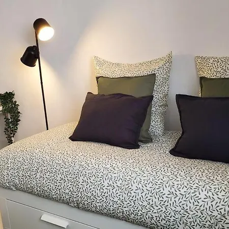Διαμέρισμα Cosy - Ferrand